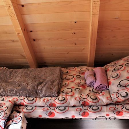 Log - cabin HOPE Zabljak  Ngoại thất bức ảnh